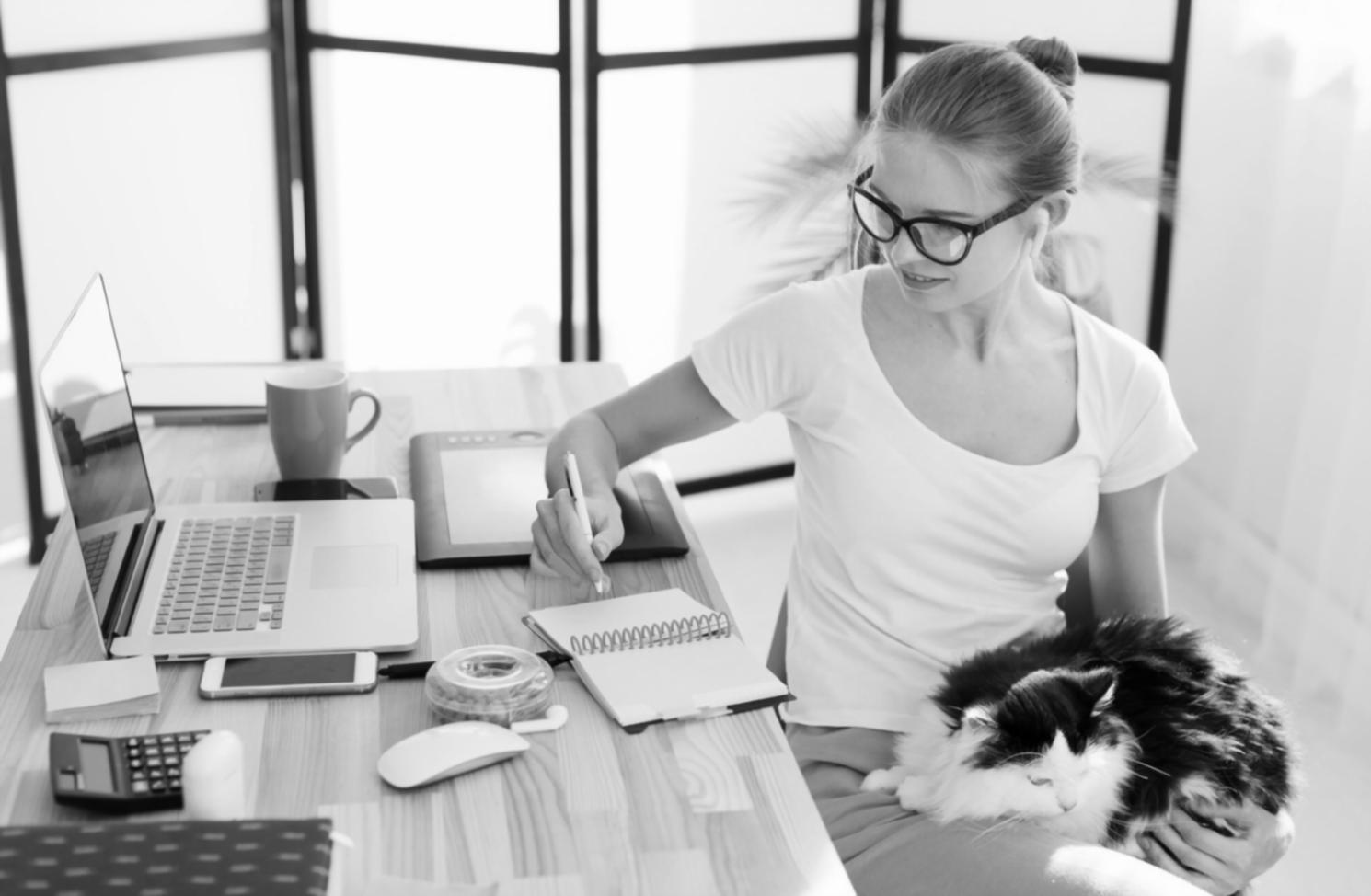 Budgetberatung Gespräch zwischen Berater und Familie am Tisch